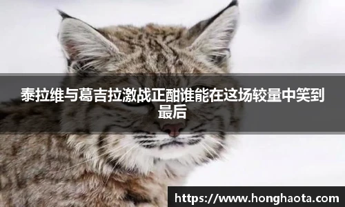 熊猫体育